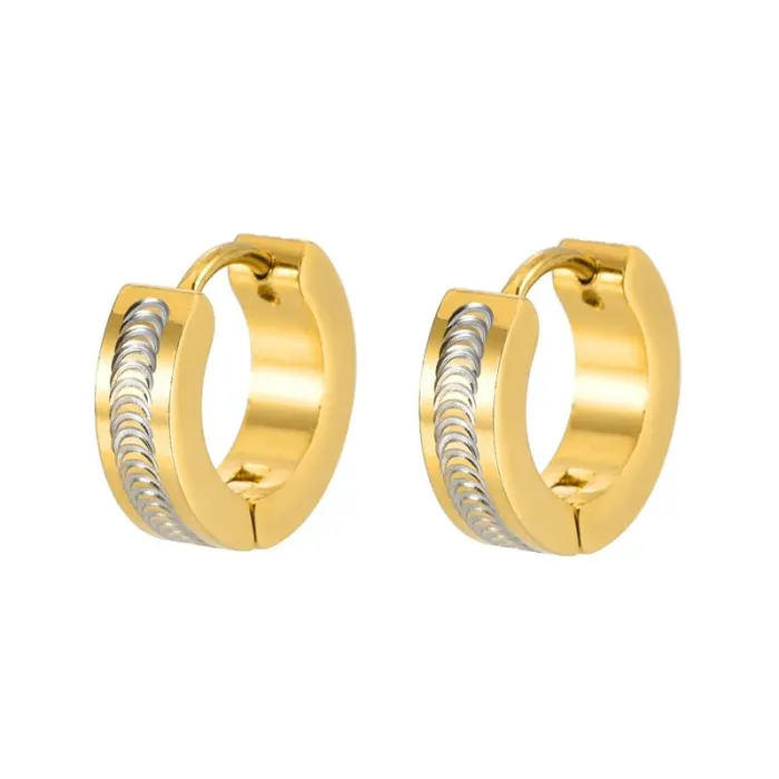 French-Style Luxury Stainless Steel Hoop Earrings Small Chic Design