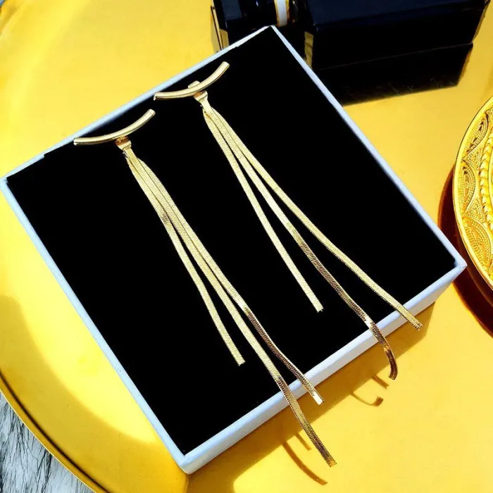 Korean INS Style Metal Tassel Long Earrings for Women – Minimalist Elegant Design