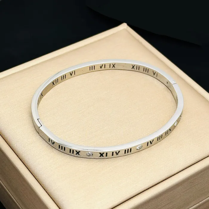 Wholesale Round Zircon Stainless Steel Bangle | Bulk Supplier & Factory Price Minimalist Luxury Bracelet for Women