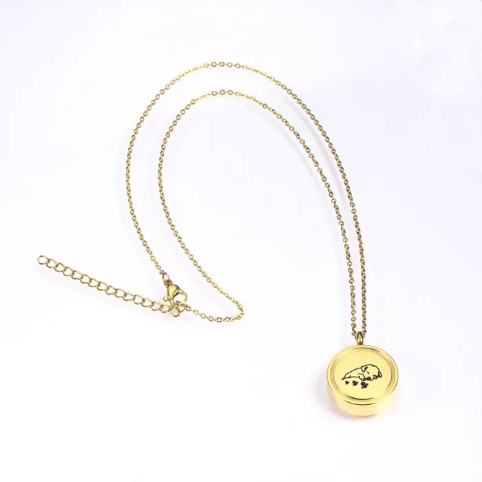 Memorial Pet Dog Hair & Ash Urn Pendant | Round Paw Print Openable Perfume Bottle Necklace | Unisex Titanium Steel Jewelry