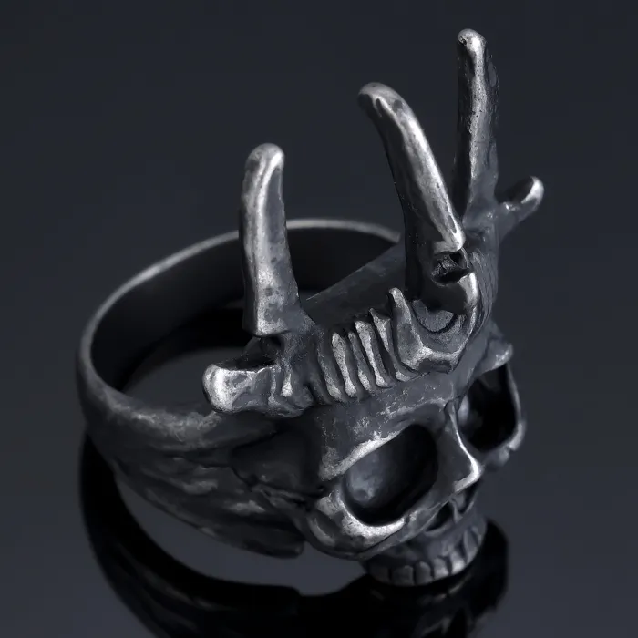 Vintage Punk Skull Ring with Crown – Gothic Style Stainless Steel Statement Ring for Men | Fashion Jewelry | Wholesale