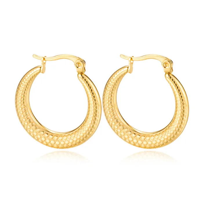 Women's Minimalist Club Style Earrings – INS-Inspired Stainless Steel Hoops (In Stock)