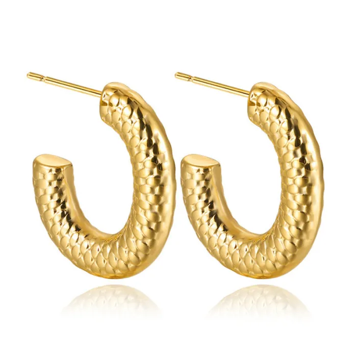 Women's Minimalist Club Style Earrings – INS-Inspired Stainless Steel Hoops (In Stock)