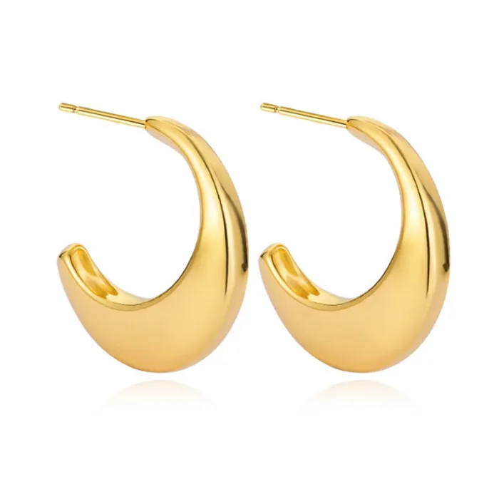 Women's Minimalist Club Style Earrings – INS-Inspired Stainless Steel Hoops (In Stock)