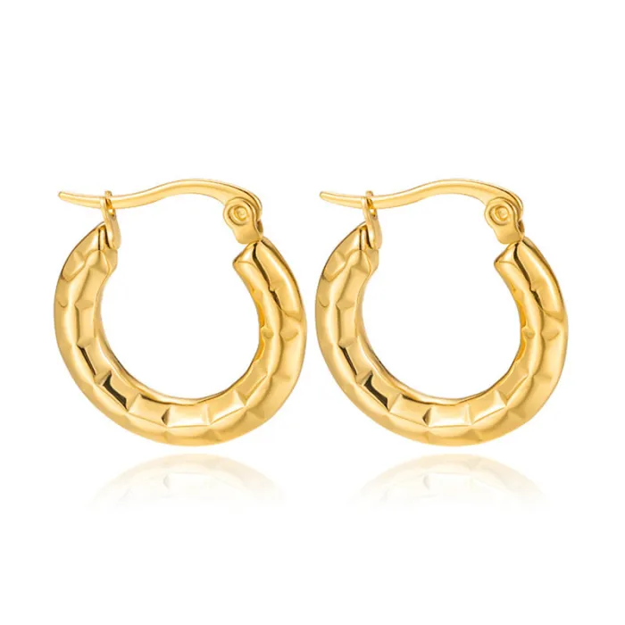 Women's Minimalist Club Style Earrings – INS-Inspired Stainless Steel Hoops (In Stock)